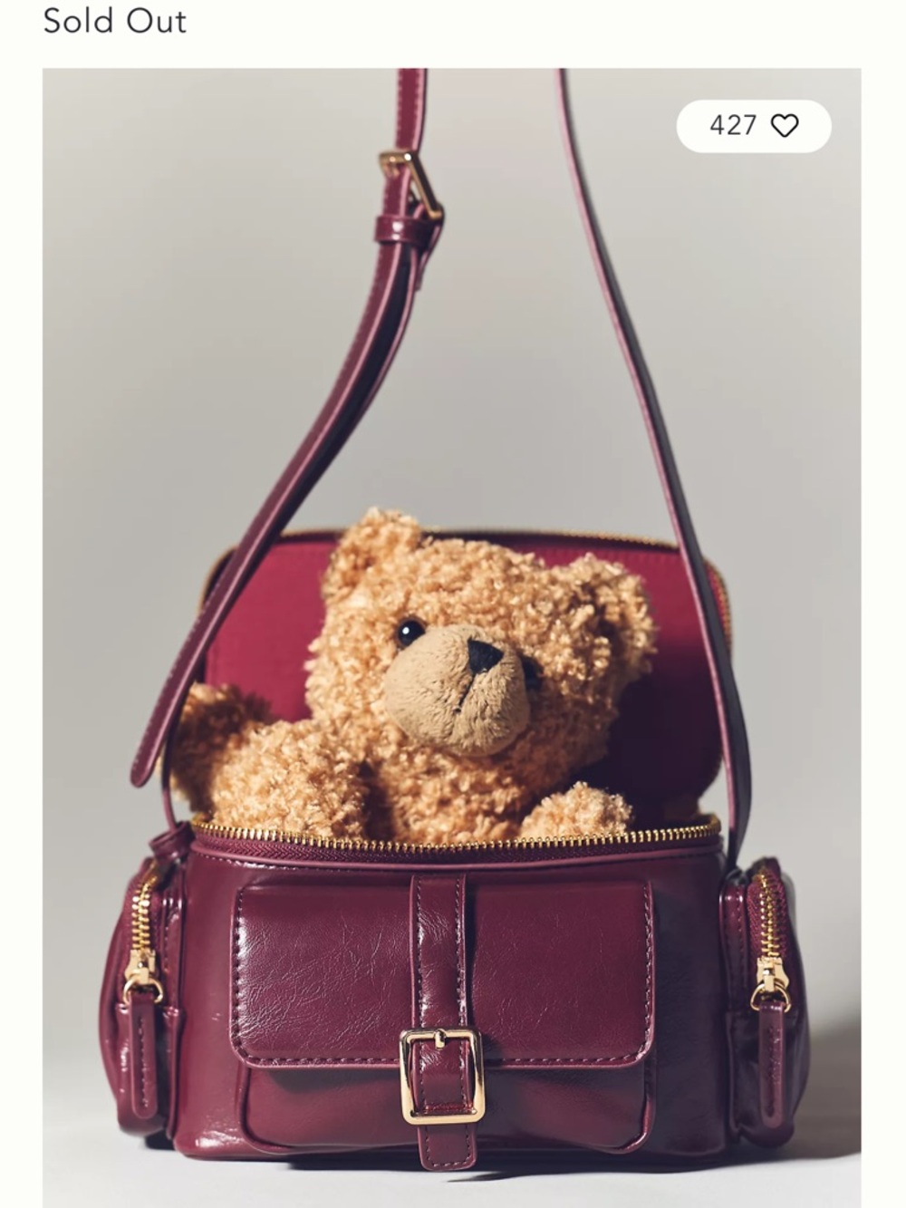 NWT, Leather Crossbody Camera Bag in Burgundy - Anthropologie purchase